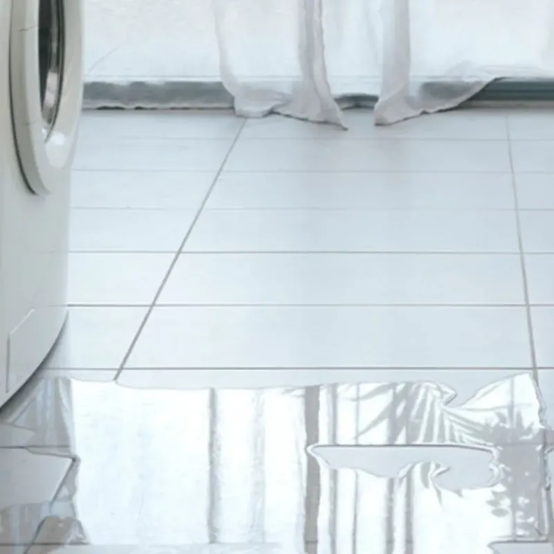 Appliance Leak Cleanup in Clay County, IL