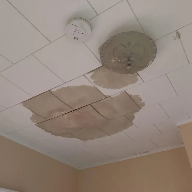 Ceiling Water Damage Repair in Clay County, IL