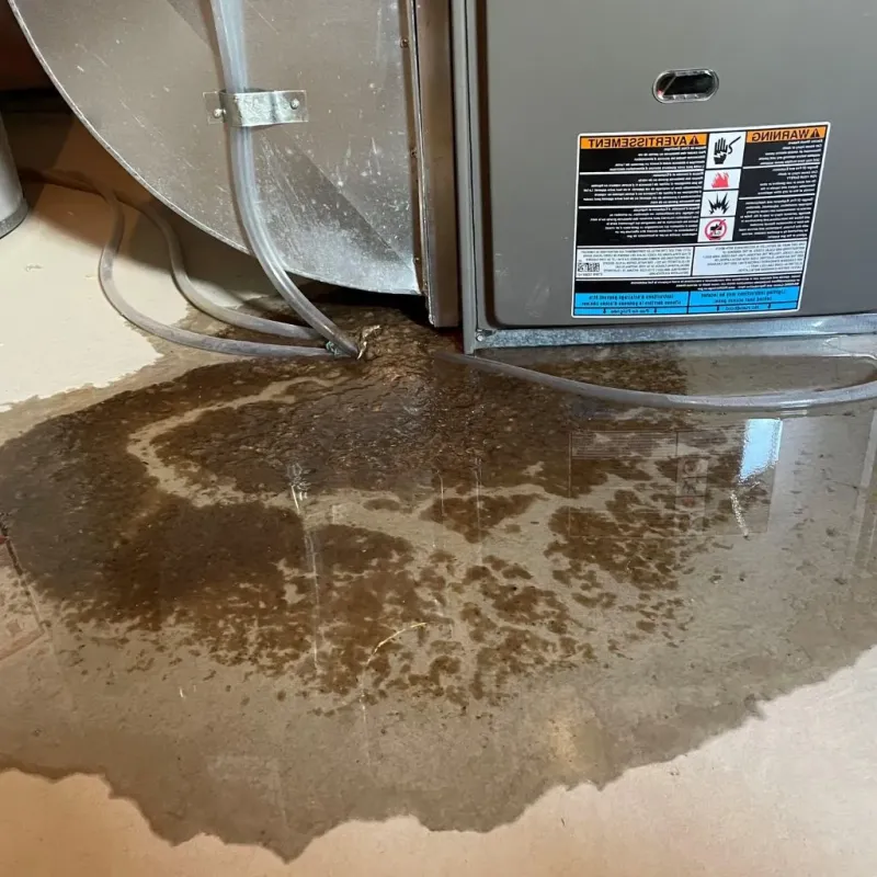 Pipe Burst and Leak Restoration in Clay County, IL