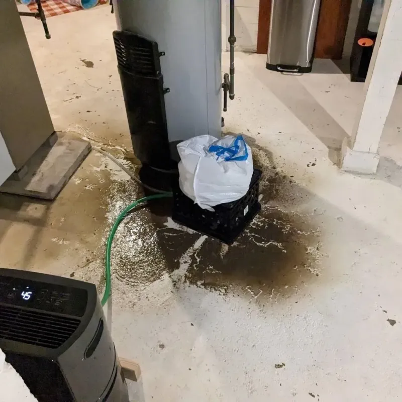Sewage Backup Cleanup Service in Clay County, IL